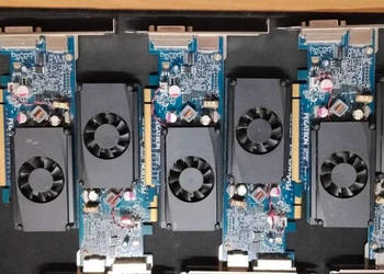 6x Karta graficzna GeForce G310 512MB DisplayPort DVI.