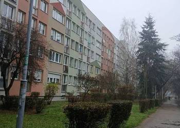 2pok, 38met, okolice Widnej PIWNICA/PARKING (Wrocław)