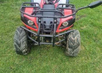 Quad Kingway minicatR,  110cm