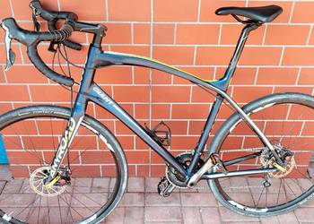 Gravel Rower Giant Anyroad