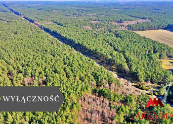 Działka 12600m2 Bobrownickie Pole