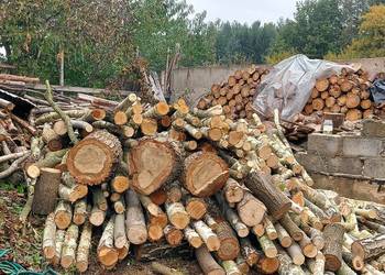 Drewno opałowe kominkowe z transportem