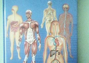 atlas anatomii czlowieka, wiedza i życie
