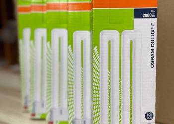Świetlówka kompaktowa LED 2G10 4pin 36W 840 neutralna 4000K DULUX OSRAM