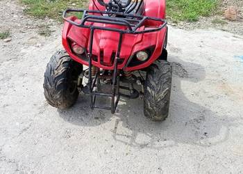Quad ATV 110