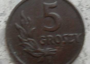 POLSKA-5 GROSZY-1949 r-B-