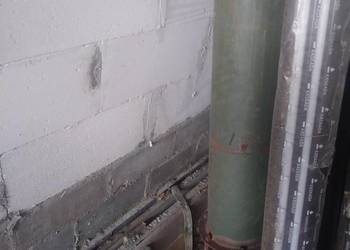 Zmijka przenosnik slimakowy 5m