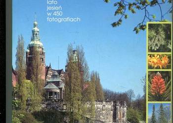 Zieleń Szczecina Ilustrowany przewodnik dendrologiczny