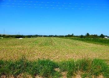 Syndyk sprzeda 30/96 udziału w działce w Iwoniczu