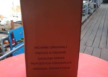 049504 Filtr powietrza Merlo