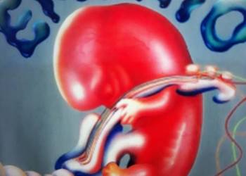 Archiwum prog, Krautrockowej psychodelii EMBRYO- Rocksession. 1973. Archiwum prog, Krautrockowej psychodelii EMBRYO- Rocksession. 1973.