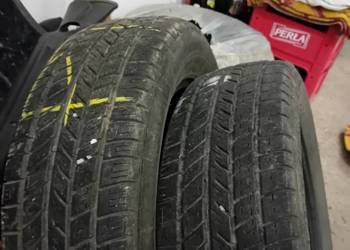 Opony letnie 195/65 R15