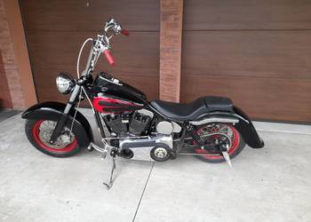 Sucker Punch Sally Springer