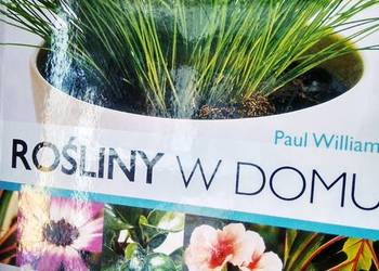 Rośliny w domu księgarnia Warszawa