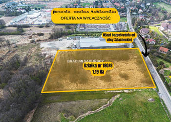 Działka Brzezie 11900m2