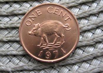 Bermudy 1 Cent 1971r - Ładna