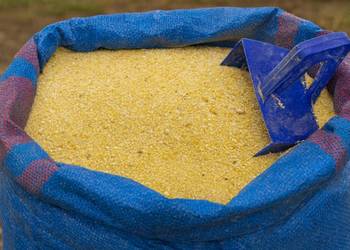 Groch żółty PASZOWY kruszony 25 kg kruszonka dla kur, gołębi,