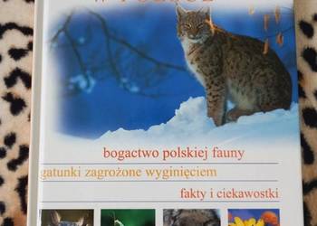 Edukacja Przyroda Zwierzęta chronione w Polsce (seria Świat wokół nas)