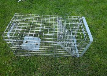 Żywołapka pułapka, klatka na kuny, łasice, dzikie koty itp