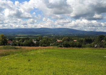 Działka 2200 m² z mediami przy granicy – Giebułtów, Blisko Świeradowa-Zdro…