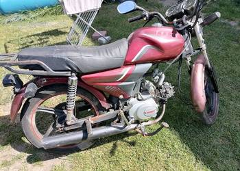 Motorower Zarejestrowany Ważne OC. Ferro 50cm.Zipp.Romet.Junak.Ogar