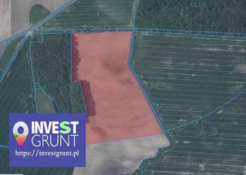 [19,84 ha] przetarg na dzierżawę gruntów rolnych