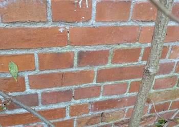 Sprzedam cegłę z rozbiórki fomu