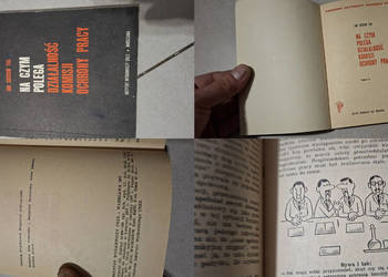 Na czym polega działalność Komisji Ochrony Pracy, wyd. 1, unikalny poradnik