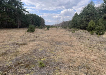 Dwie działki rolne nr 205 i 206, 3,03 ha przy drodze. Łączka gm. Kotuń.