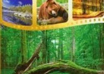 Album Parki narodowe i krajobrazowe w Polsce nowe oprawa twarda