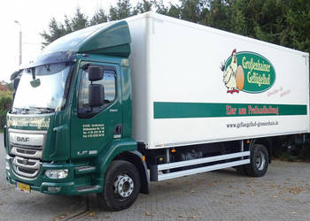 DAF LF 260 Euro 6 kontener 18 palet windaklima TYLKO 335000km DAF LF 260 E…