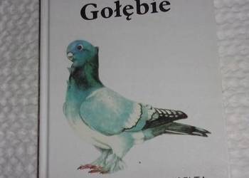 GOŁĘBIE LEKSYKON PRZYRODY