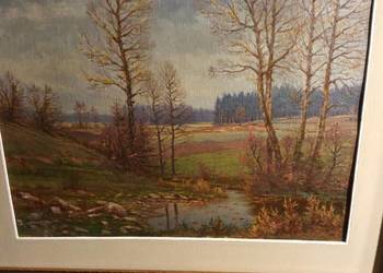 Pejzaż pogórze Sądeckiego