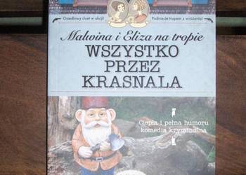 Małgorzata J. Kursa Malwina i Eliza na tropie. Wszystko przez krasnala