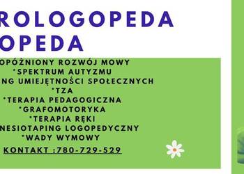 Neurologopeda , logopeda z dojazdem do pacjenta , Autyzm