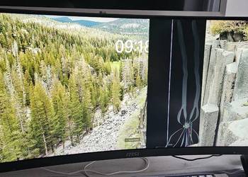 Monitor MSI Optix MAG301CR2 uszkodzony