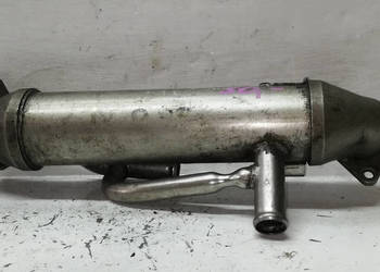 Chłodnica spalin Ford 2.0 TDDI 1C1Q-9F464-AD