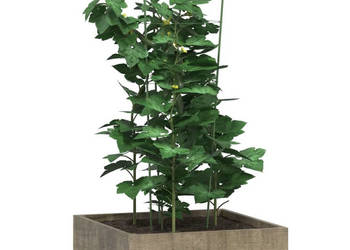 Podpórki dla roślin z 3 obręczami 5 szt zielone 75 cm stal WM-319374