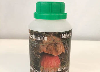 Żywa Grzybnia, Mikoryza Mycelium100Borowik ceglastopory