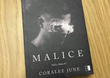 książka ( sprzedaż na vinted )