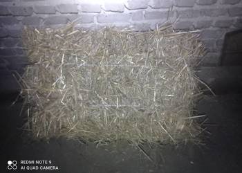 Sprzedam słomę w kostkach
