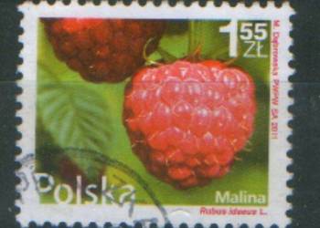 Zn. Fi 4396 kas  2011