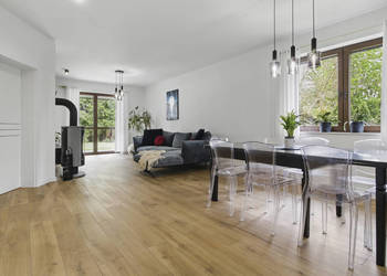 Dom wolnostojący. Rezerwat Wikliny Wiślane.