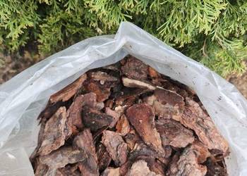 kora sosnowa sortowana łupek 40-80 mm