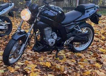 Dealim Roadwin VJ125