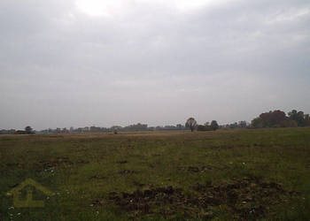 Działka w Całowaniu