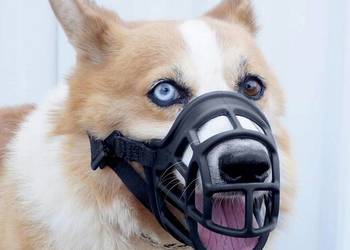 Kaganiec koszowy silikonowy dla psa - rozmiar L-XL