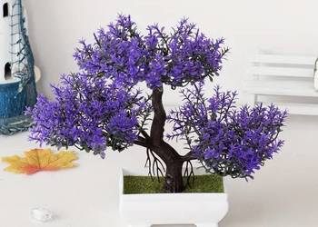 drzewko bonsai