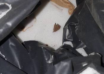 Polietylen plastikowy granulat miał cząstki mikro kulki