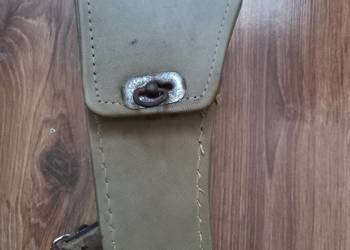 Narzedziowka komar sztywniak